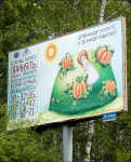 Работа 1770038