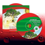 Компакт диск