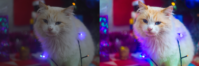 ретушь