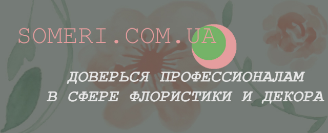 Баннер