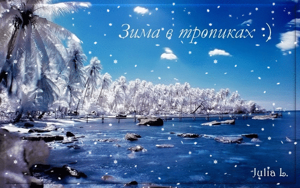 Gif анимация «Зима в тропиках»