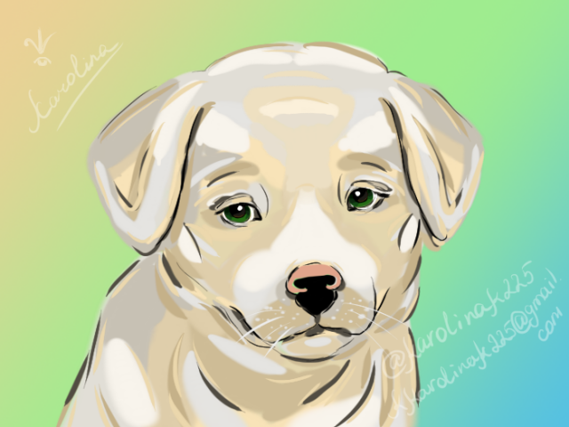 ведь 2018 год собаки