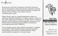 «MuzGazeta»: Про лягушек