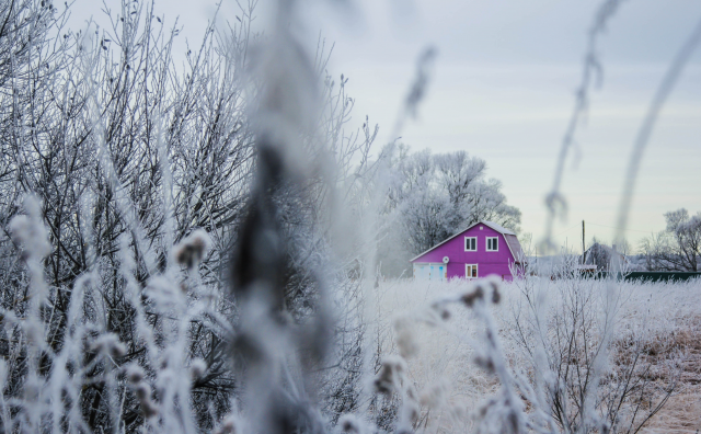 Работа 3251406