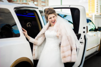 Работа 2720751