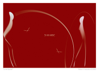 «Ты Не Против?»