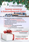 Новогодний Roll Up