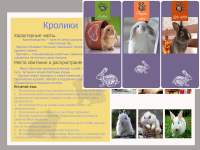 Работа 2032213