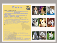 Работа 2032212