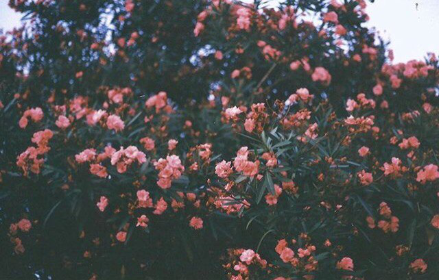 Работа 3238619