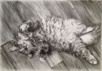 Рисунок карандашом