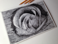 Рисунок карандашом