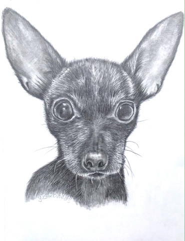 рисунок
