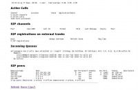 Статус системы с Asterisk, состояние SIP регистраций, транков