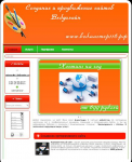 www.вебмастер116.рф