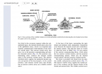 Английский