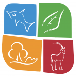 Biodiversity