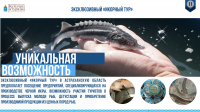 Туризм