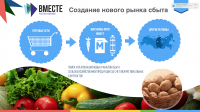 ПРодовольственный хаб
