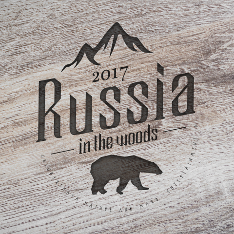Разработка Лого для кампании