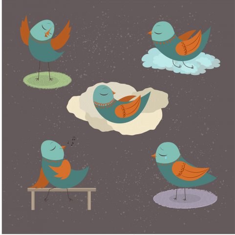 birds