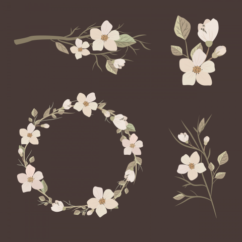 vintage flowers