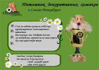 Работа 346123