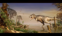 65 MYA
