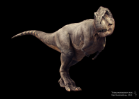 Tyrannosaurus Rex (exhibition pose)