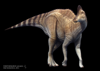 Corythosaurus (exhibition pose)