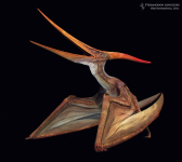 Pteranodon (exhibition pose)