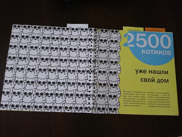Разворот брошюры
