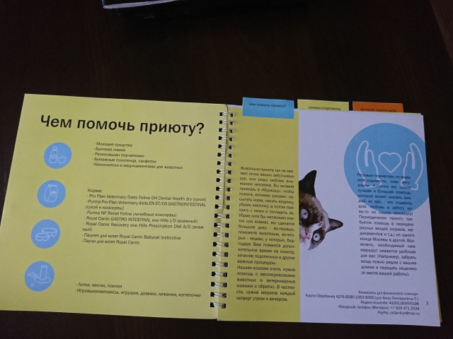 Разворот брошюры