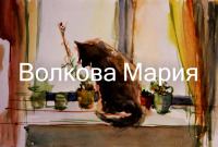 Кот