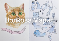 Скетч