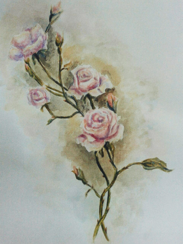 Roses