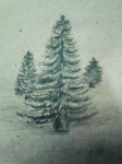 Trees