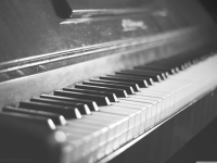 Echoes of the Memories