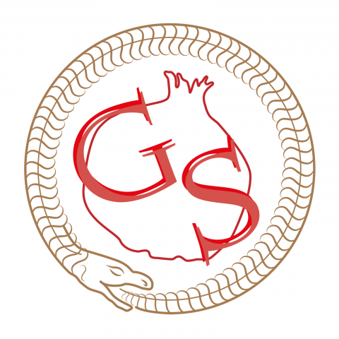 Логотип Garnet Snake