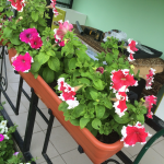 Работа 2745236