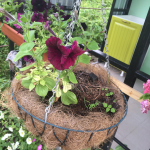 Работа 2745233