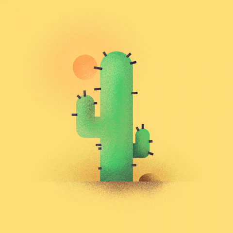 Cactus