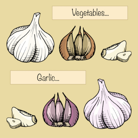 Onion and Garlic