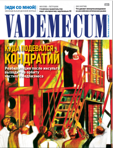 Аналитическая статья в деловой журнал Vademecum