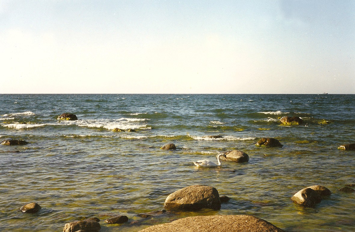 pic469947.jpg