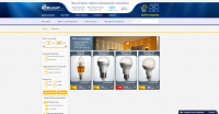 ecolight.ru