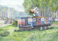 Иллюстрация для календаря. Июль. Пасека