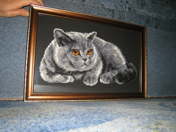 Кошка