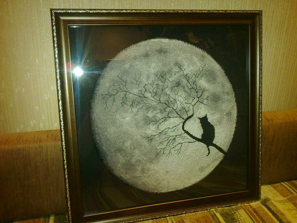 Кошка на луне