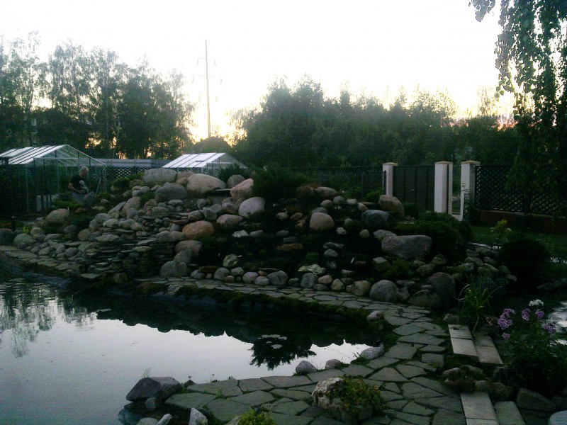 pic1198366.jpg